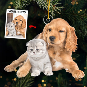 Photo personnalisée : Passez un Noël tout doux - Décoration personnalisée pour chien et chat - Forme personnalisée en acrylique - Cadeau de Noël pour les propriétaires et les amoureux des animaux