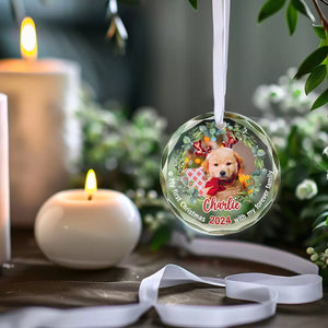 Photo personnalisée : Célébrez Noël avec vos amis à quatre pattes - Ornement en verre rond personnalisé pour chien et chat - Nouveauté, cadeau de Noël pour les propriétaires d'animaux, les amoureux des animaux, premier Noël AMZ