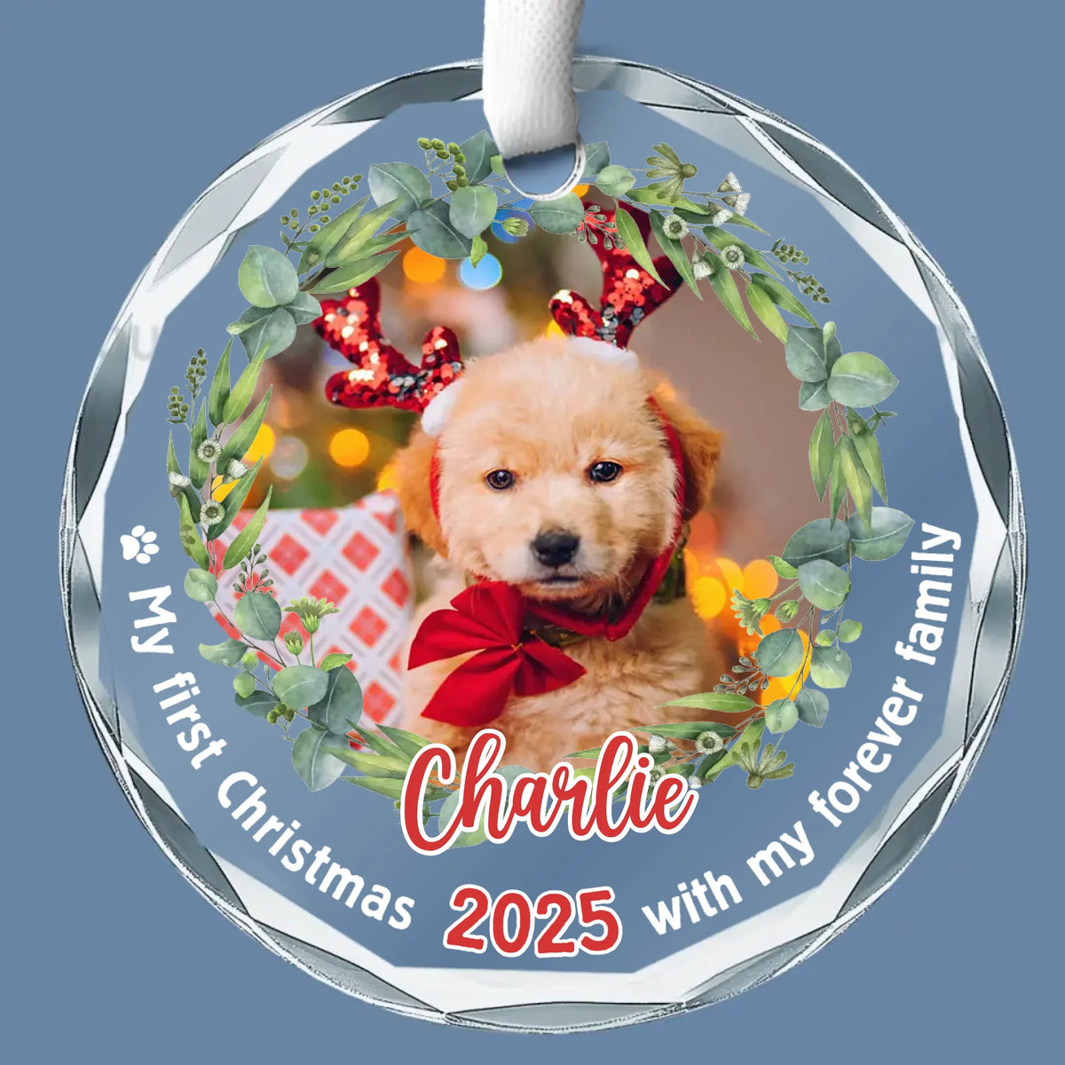 Photo personnalisée : Célébrez Noël avec vos amis à quatre pattes - Ornement en verre rond personnalisé pour chien et chat - Nouveauté, cadeau de Noël pour les propriétaires d'animaux, les amoureux des animaux, premier Noël AMZ