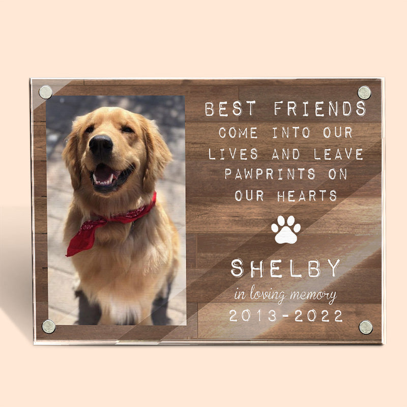 Vous êtes toujours mes adorables amis - Cadre photo magnétique en acrylique personnalisé commémoratif - Cadeau de condoléances, cadeau pour les propriétaires d'animaux, les amoureux des animaux