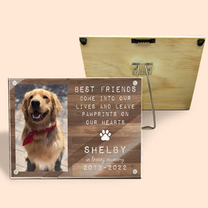 Vous êtes toujours mes adorables amis - Cadre photo magnétique en acrylique personnalisé commémoratif - Cadeau de condoléances, cadeau pour les propriétaires d'animaux, les amoureux des animaux