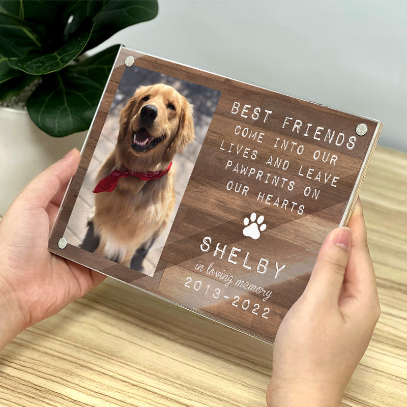 Vous êtes toujours mes adorables amis - Cadre photo magnétique en acrylique personnalisé commémoratif - Cadeau de condoléances, cadeau pour les propriétaires d'animaux, les amoureux des animaux