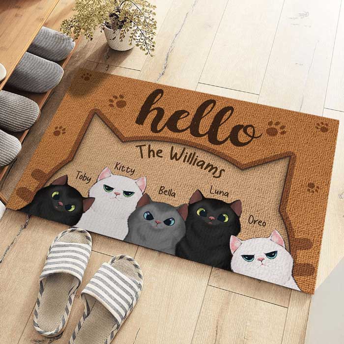 Bonjour humain, bienvenue chez nous - Tapis décoratif personnalisé pour chat - Cadeau pour les propriétaires d'animaux et les amoureux des animaux