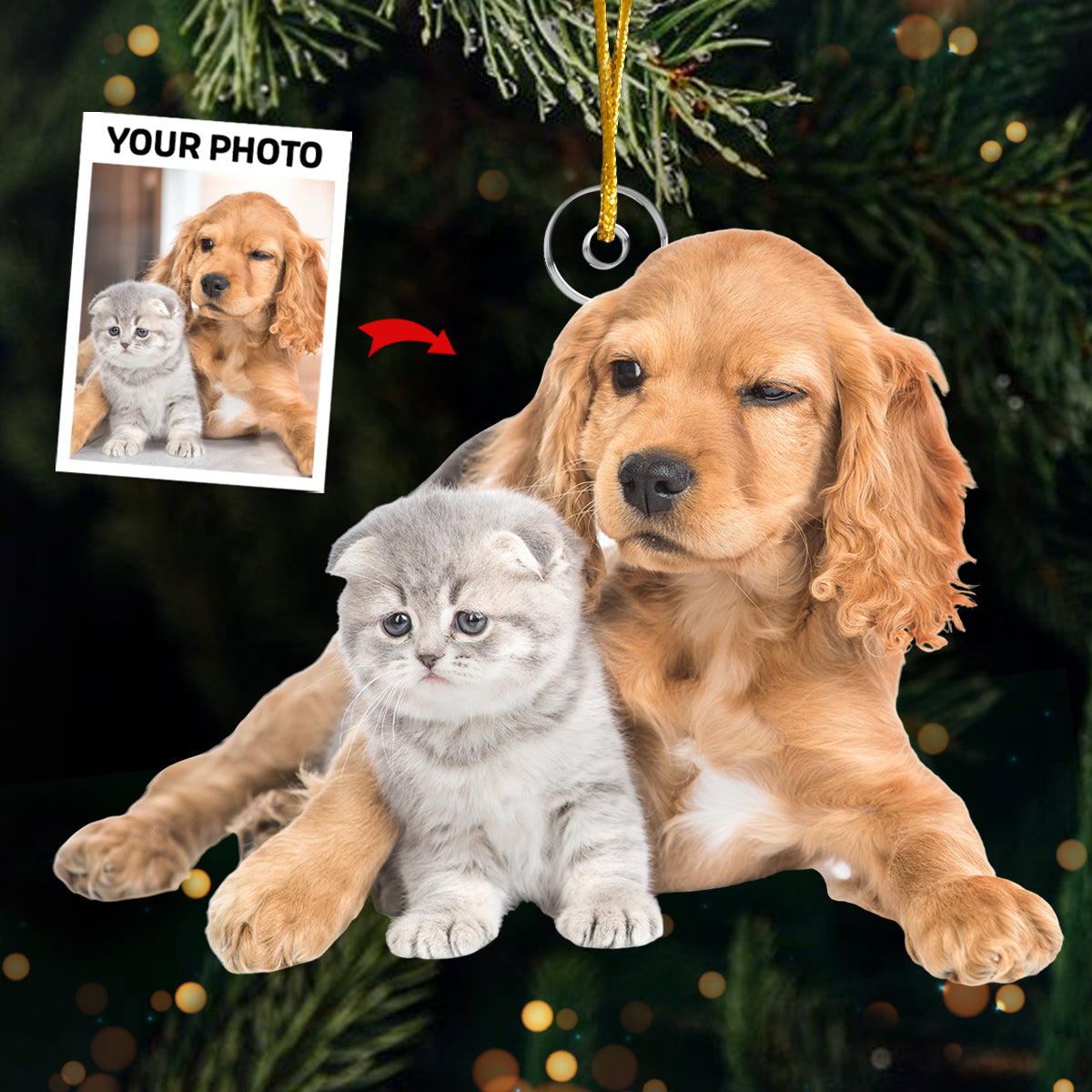 Photo personnalisée : Passez un Noël tout doux - Décoration personnalisée pour chien et chat - Forme personnalisée en acrylique - Cadeau de Noël pour les propriétaires et les amoureux des animaux